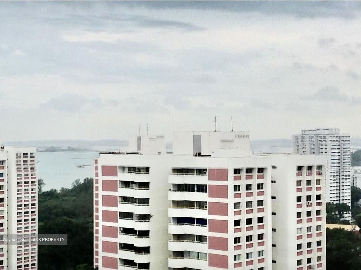 Mandarin Gardens (D15), Condominium #634539451